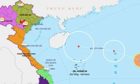 Bão số 6 chưa tan hẳn, Biển Đông lại xuất hiện áp thấp nhiệt đới mới